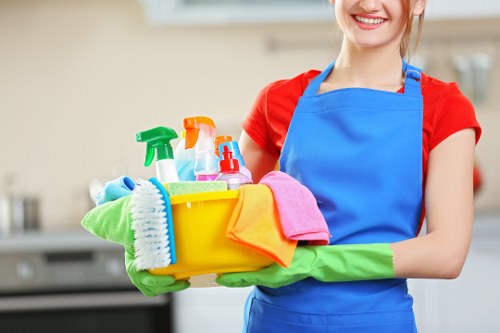 Curtain cleaning for homes and businesses in Ilford