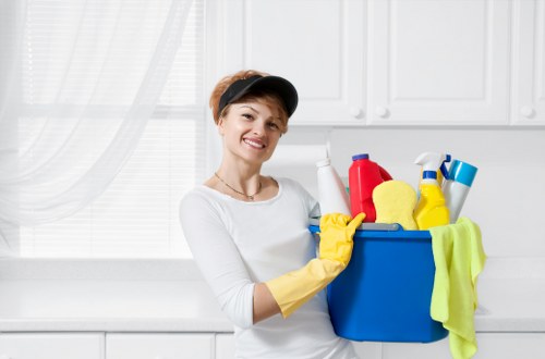 Deep cleaning equipment used for pet stain and smell removal
