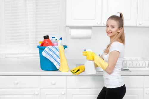 Treatment of a pet accident on upholstery in an Ilford property