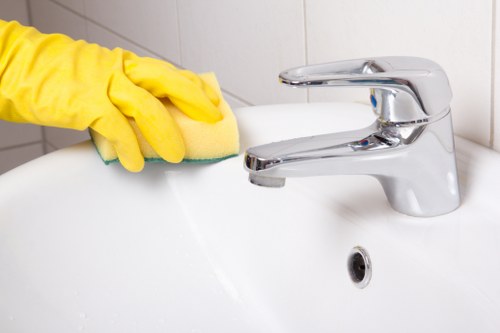 Liability and customer responsibility terms for carpet cleaning