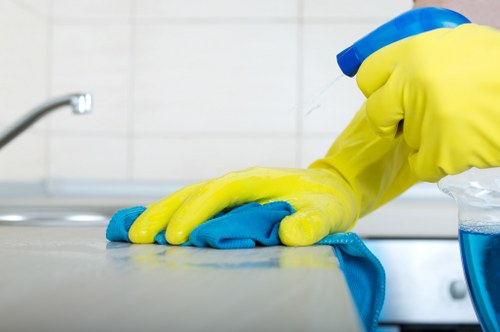 Local Ilford cleaner carrying out routine kitchen and bathroom cleaning